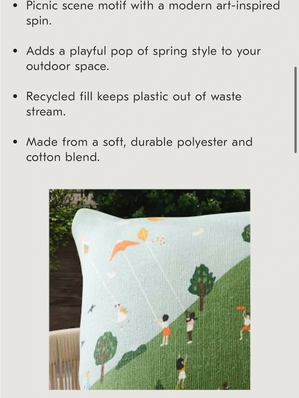 Outdoor Picnic Scene Decorative Pillow - Green & Cream
